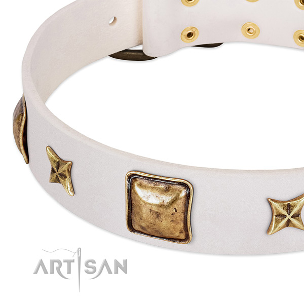 Old bronze-like stars and squares on white leather FDT
Artisan collar