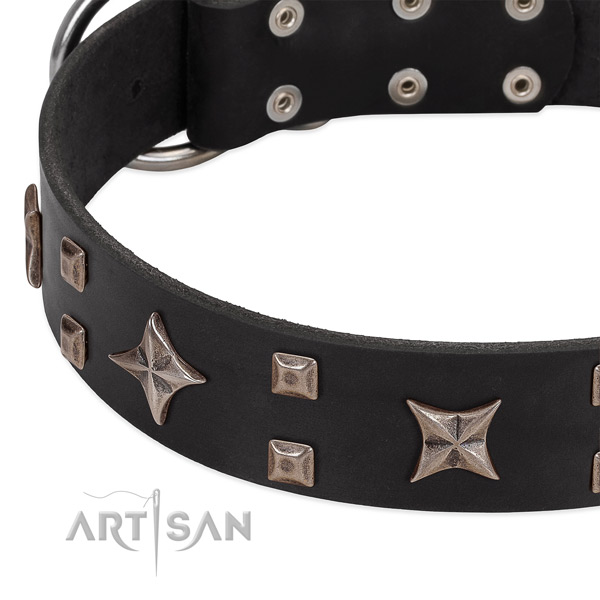 Black leather dog collar with cool decorations