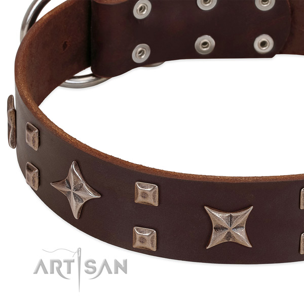 Brown leather dog collar with stylish decorations