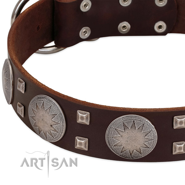 Brown leather dog collar with modern decorations