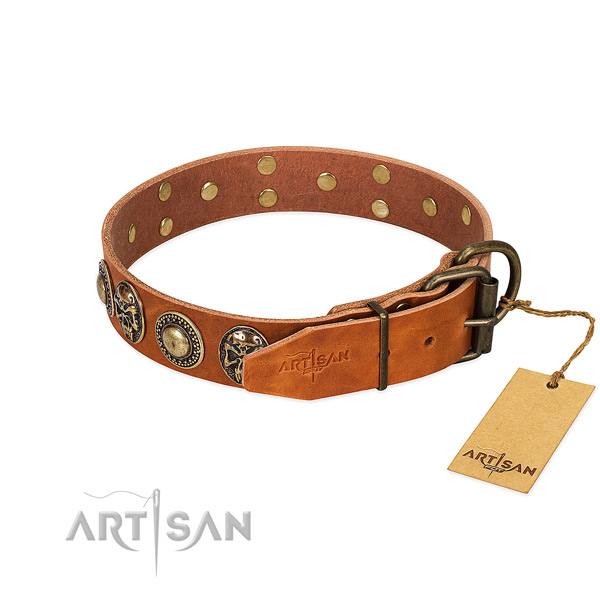 Strong Tan Leather Dog Collar with Riveted Fittings