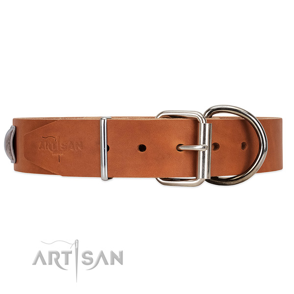 Reliable Hardware on Tan Leather Dog Collar