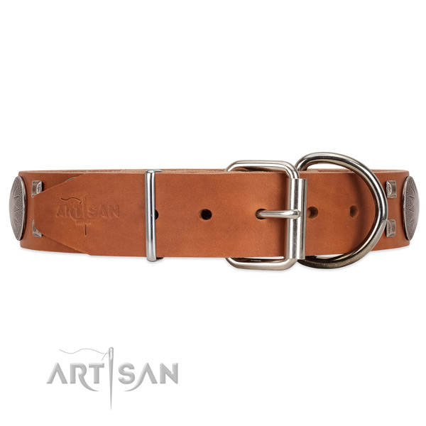 Elegant tan leather dog collar with chrome-plated hardware