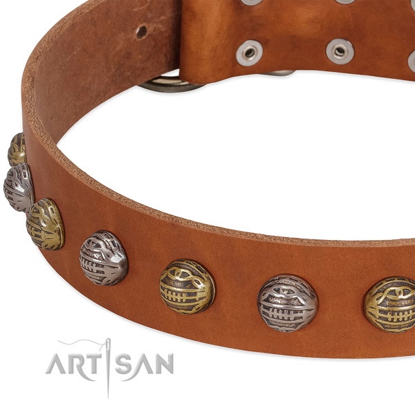 Riveted Tan leather dog collar with chichi studs