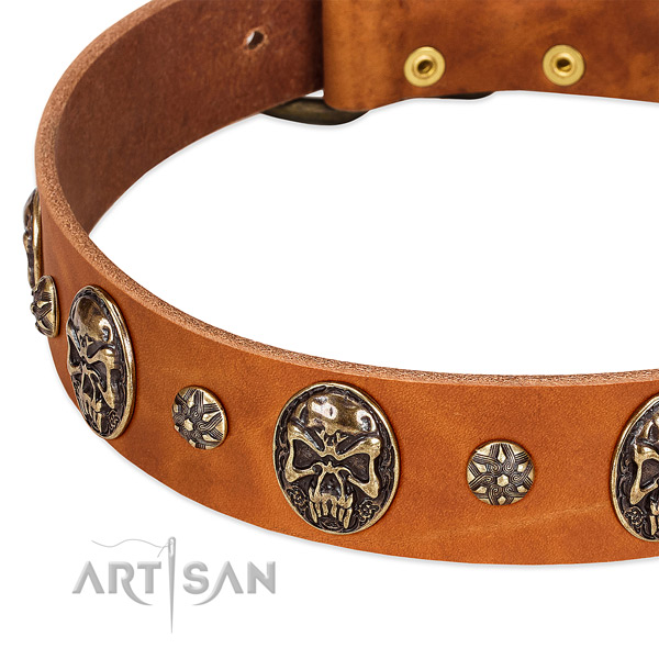 Old bronze-like studs and medallions on tan leather FDT
Artisan collar