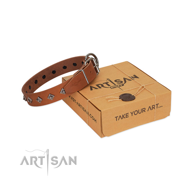Artisan leather dog collar decorated with dotted pyramids