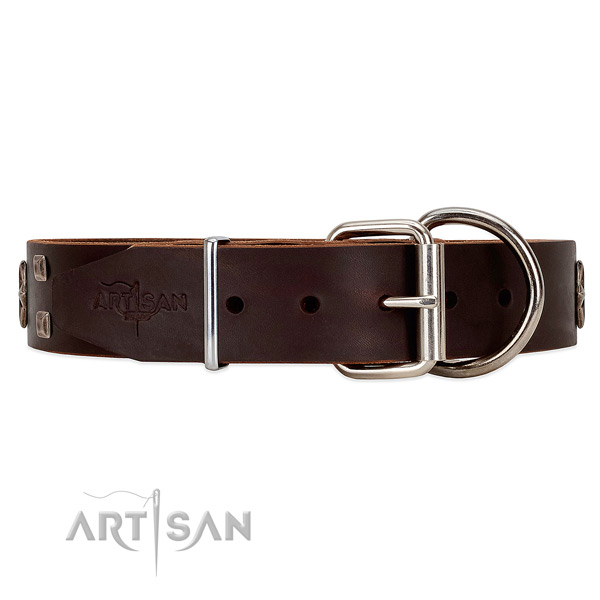 Dependable leather dog collar with belt-like buckle