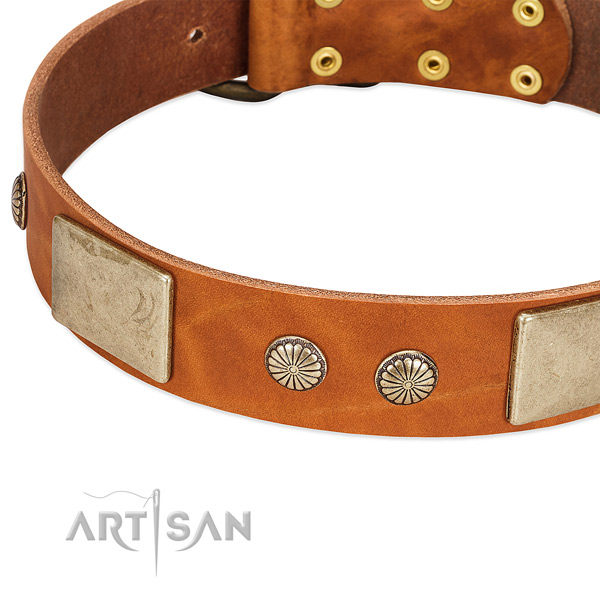 Amazing Leather Dog Collar with Handset Decor