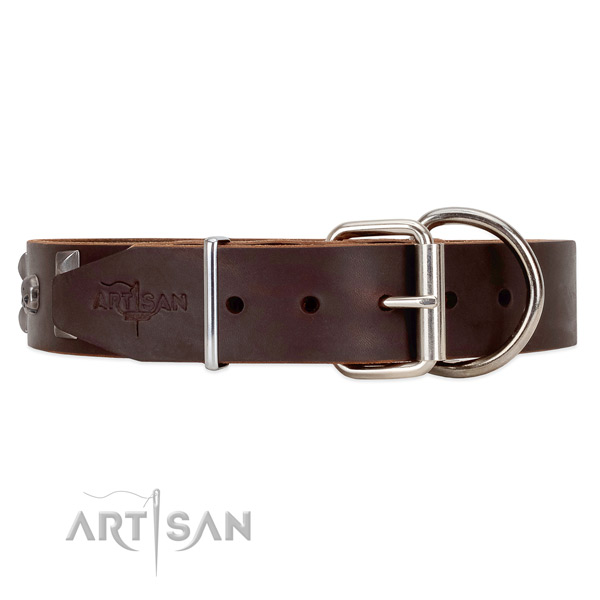 Leather dog collar with old chrome plated hardware