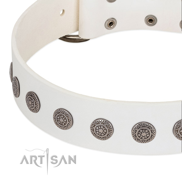 Modern white leather dog collar with chrome-plated decorations