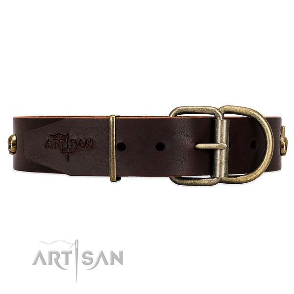 Brown Top Quality Dog Collar Finished with Rust Resistant
Fittings
