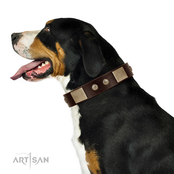 Leather Swiss Mountain Dog Collar with Durable Hardware