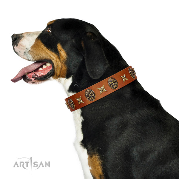 Comfortable leather Swiss Mountain Dog collar for
walking