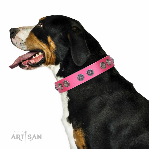 Walking top-notch quality leather Swiss Mountain collar