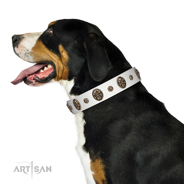 Walking leather Swiss Mountain Dog collar for everyday
use