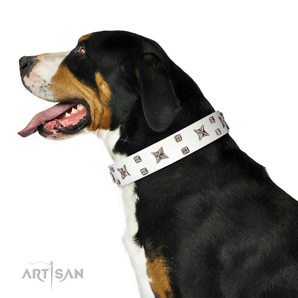 Adjustable leather Swiss Mountain Dog collar for dog impressive look