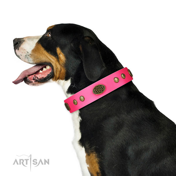 Swiss Mountain Dog basic training dog collar of designer genuine leather