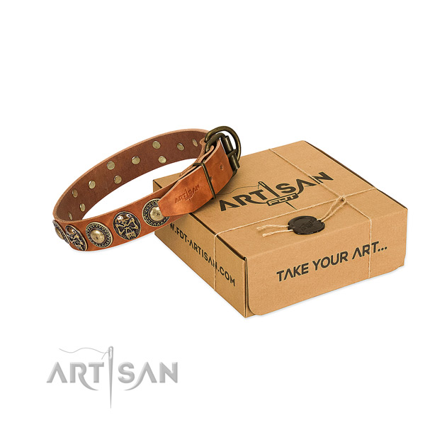 Top Notch Leather Dog Collar in Tan