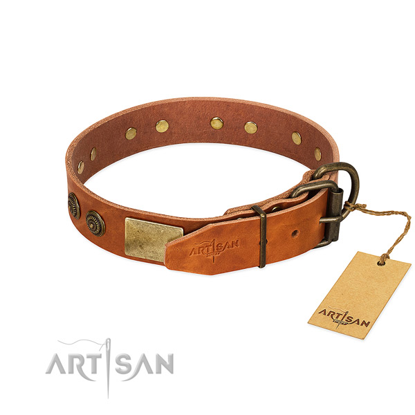 Reliable Control Tan Leather Dog Collar with Riveted Hardware