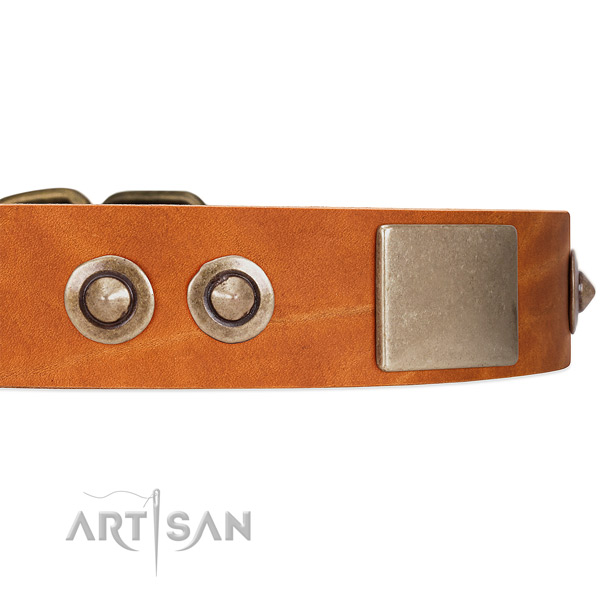 Tan Leather Dog Collar with Conchos and Massive Plates