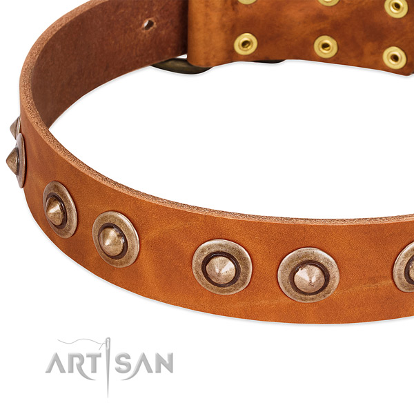 Old Bronze-plated Medallions Riveted on Tan Leather Dog Collar from FDT Artisan