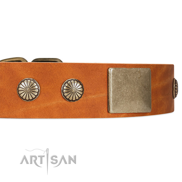 Tan Dog Collar with Old-bronze Plated Decor