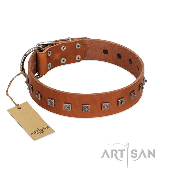 Handcrafted leather dog collar with durable hardware