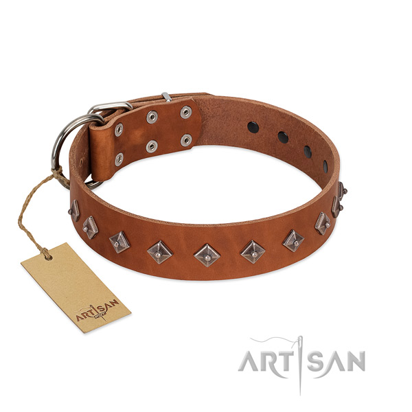 Fabulous FDT Artisan leather dog collar with pyramids