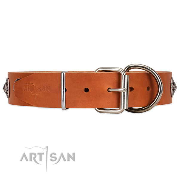 Tan leather dog collar with firm reinforced hardware