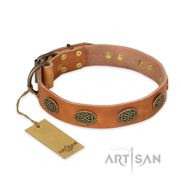 Tan leather dog collar with rust-proof studs