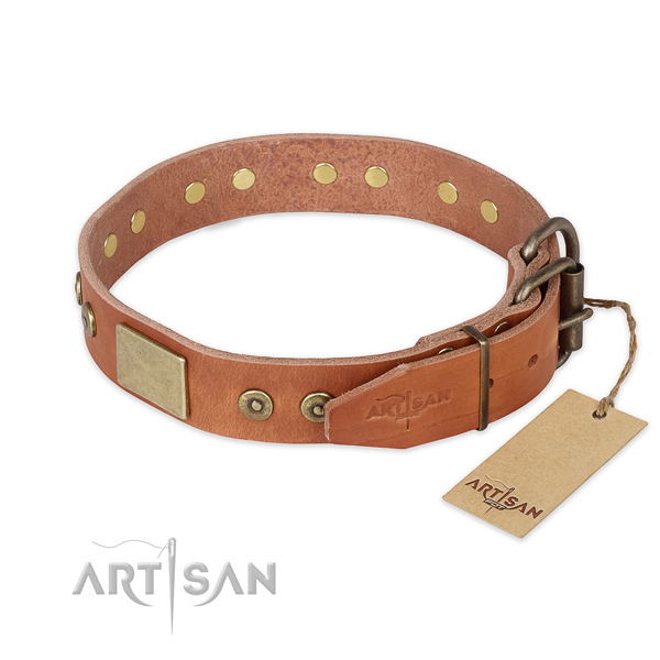 Tan leather dog collar with old bronze-like plated fittings