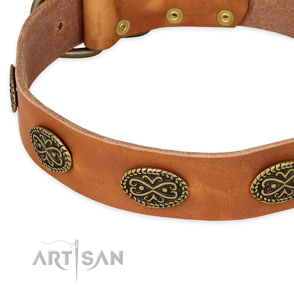 Tan leather dog collar for appearing on public