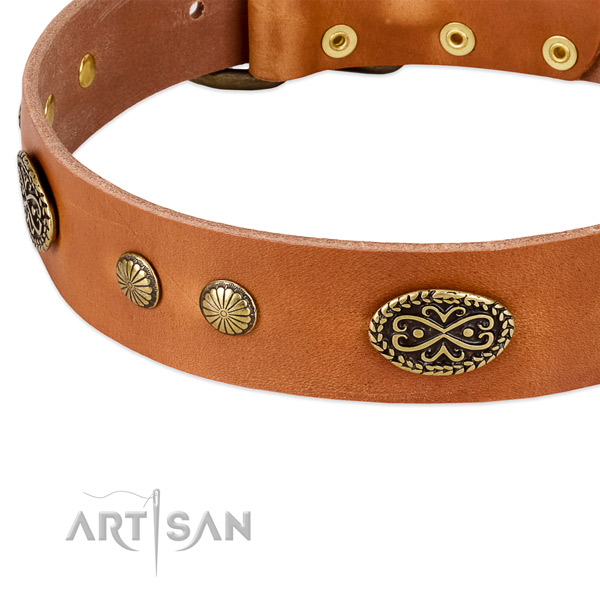 Comfortable tan leather dog collar with decorations