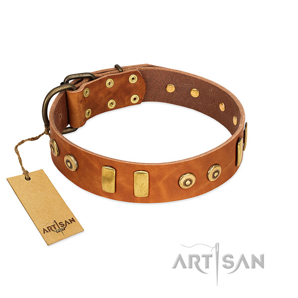 decorated tan
dog collar made of polished waxed leather