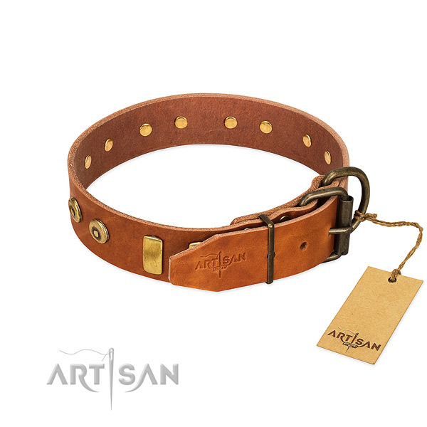 Time-proof leather dog collar equipped with sturdy hardware
