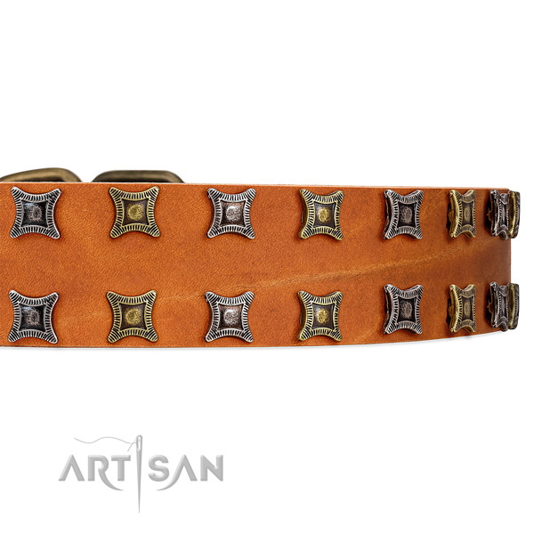 Amazing tan leather collar with two rows of gorgeous
studs