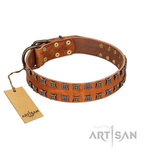 Designer Artisan leather dog collar made of quality
materials