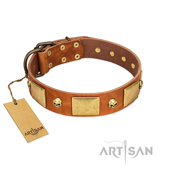 Marvelous Leather Dog Collar with Riveted Decorations