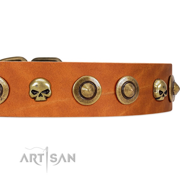 FDT Artisan tan leather dog collar with decorative
brooches and skulls