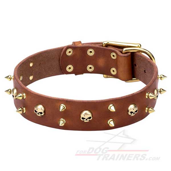 Dog collar with shiny brass adornment