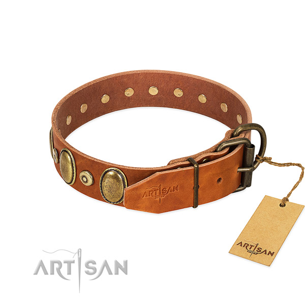 Bronze-Like Plated Medallions and Studs on Tan Leather
Dog Collar