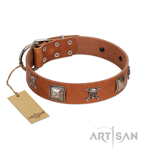 FDT Artisan Dog Collar with Shining Adornments