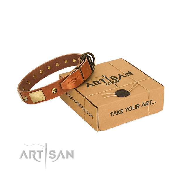 Eye-catching Tan Dog Collar Delivers Pleasure and
Comfort