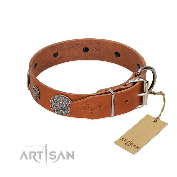 Handmade tan leather dog collar with sturdy fittings
