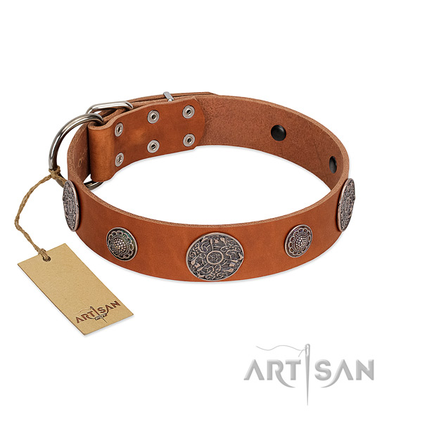 Awesome quality tan leather dog collar comfortable wear
