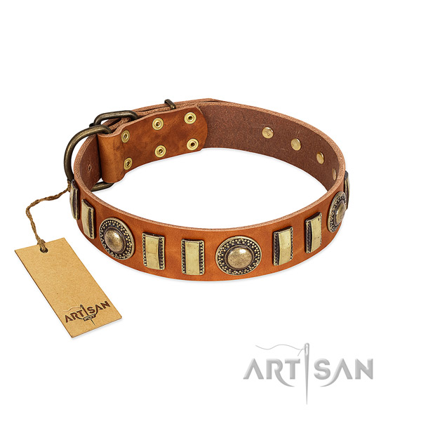 FDT Artisan Dog Collar Made for Everyday Use
