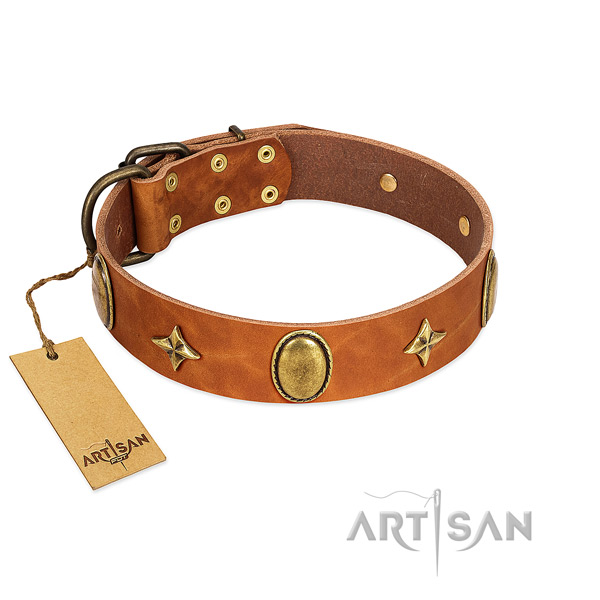 Tan leather dog collar adorned with riveted decorations