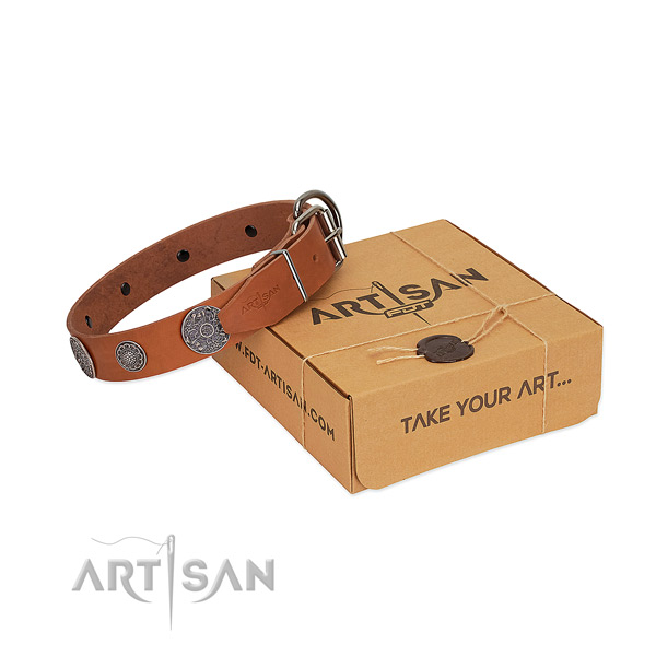 Royal quality tan genuine leather dog collar for daily
use