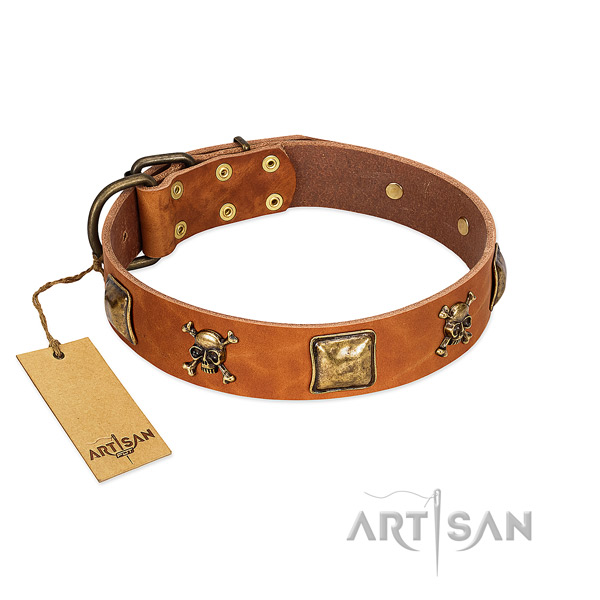 Comfortable leather Artisan dog collar completely
harmless