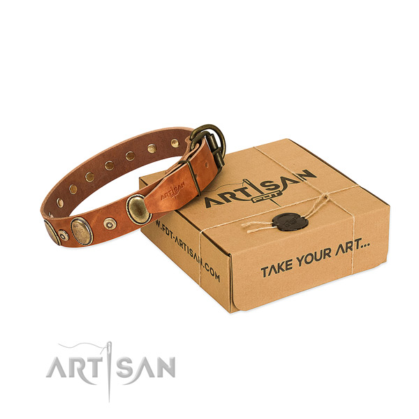 Deluxe Leather Dog Collar Made of First-rate Materials